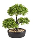 Ver imagem 1 de Arranjo Decorativo com Bonsai Artificial e Vaso de Cerâmica – 33cm