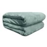 Cobertor Solteiro Flannel Liso Verde - Andreza - 1