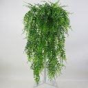 Ver imagem 1 de Arranjo Completo e Vaso Folhagem Pendente Samambaias Verde