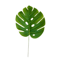 Kit 4 Costela De Adão Artificial 70cm Planta Verde Realista - 3