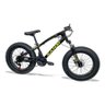 Bicicleta Fat Aro 20 Infantil Pneus 4.0 Freios a Disco Sansi Preto - 1