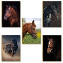 Ver imagem 1 de Kit 5 Placas MDF Cavalos Decorativos Estilo Country DC35