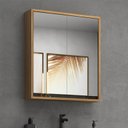 Ver imagem 1 de Armário de Banheiro 60cm 02 Portas com Espelho Ref 651 Cewal - Itapuã/portoro