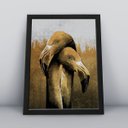 Ver imagem 1 de Quadros Decorativos Aves Decoração Sala Quarto Diversos:15