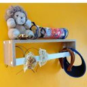 Ver imagem 5 de Kit 2 Nichos Porta Livros Infantis Prateleira Organizadora de Bonecos Estante de Brinquedos 55cm