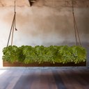 Ver imagem 1 de 10 Folhas Artificiais Costela de Adão Toque Real 65x40cm para Decoração de Escritórios e Consultório