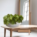 Ver imagem 5 de 10 Folhas Artificiais Costela de Adão Toque Real 65x40cm para Decoração de Escritórios e Consultório