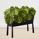 Ver imagem 7 de 10 Folhas Artificiais Costela de Adão Toque Real 65x40cm para Decoração de Escritórios e Consultório