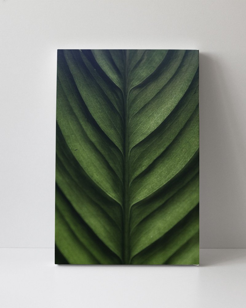 Tela em Canvas 088 - 1