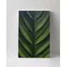 Tela em Canvas 088 - 1