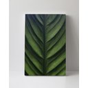 Ver imagem 1 de Tela em Canvas 088