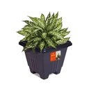Ver imagem 6 de Vaso de Planta Quadrado Grande 16,5 Litros Floreira Jardim Decorativo Cachepot Cone Plastico Horta C