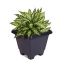 Ver imagem 1 de Vaso de Planta Quadrado Grande 16,5 Litros Floreira Jardim Decorativo Cachepot Cone Plastico Horta C