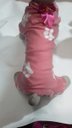 Ver imagem 3 de Macacão Pet em Soft Rosa ,estampa Patinhas , Tam G