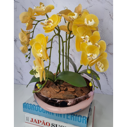 Arranjo Com 4 Orquídeas Amarela Vaso Rose 28cm - 3