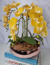 Ver imagem 3 de Arranjo Com 4 Orquídeas Amarela Vaso Rose 28cm