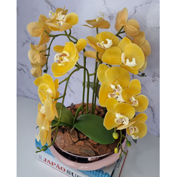 Arranjo Com 4 Orquídeas Amarela Vaso Rose 28cm - 2