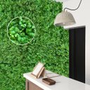 Ver imagem 1 de 21 Placas Trevo Artificial para Decoração de Loja e Casa Folhagem Realista de Alta Qualidade