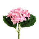 Ver imagem 1 de Hortênsia Rosa Claro Haste 32x18cm Flor Planta Artificial