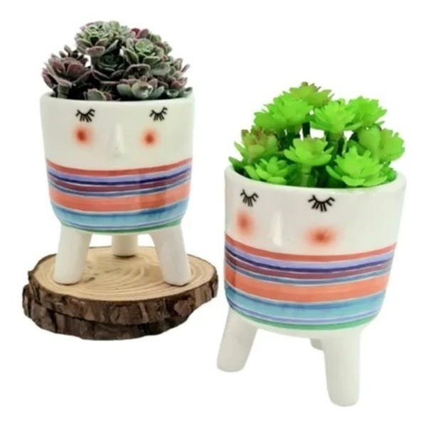 Kit 2 Vasos Decorativo De Cerâmica Com Rostinho + Planta