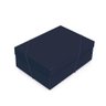Caixa Retangular com Tampa Twilight Blue G 46x33x14 - 10 Un - 1