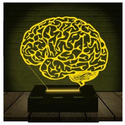 Luminária Led 3d | Cérebro Neurologista Médico | Abajur - 1