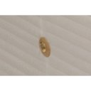 Ver imagem 3 de Cama Box Baú Solteiro: Colchão Molas Bonnel Ortobom Hotelaria Nanolastic Orthotel Superluxo + Base