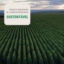 Ver imagem 4 de Rack para Tv com Prateleira 150cm Retro Mdf Grafite Dallas - On Móveis