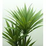 Arvore Planta Agave Folhagem Suculenta Grande 100cm Premium - 4