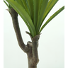 Arvore Planta Agave Folhagem Suculenta Grande 100cm Premium - 3