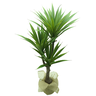Arvore Planta Agave Folhagem Suculenta Grande 100cm Premium - 1