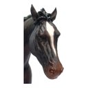 Ver imagem 4 de Cavalo Negro Veronese 00616