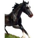 Ver imagem 1 de Cavalo Negro Veronese 00616