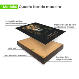 Kit Trio Quadros Decorativo Quarto Sala Leão Frase Religiosa - 3 Kit Trio Quadros Decorativo Quarto Sala Leão Frase Religiosa - 3