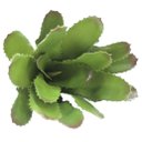 Ver imagem 3 de Kit 2 Peças Bromélia Planta Artificial Verde 28cm 20 Folhas