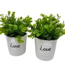 Ver imagem 3 de Conjunto decorativo vasos de cerâmica Love com planta