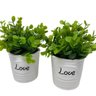 Conjunto decorativo vasos de cerâmica Love com planta - 3