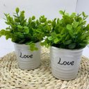 Ver imagem 2 de Conjunto decorativo vasos de cerâmica Love com planta