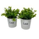 Ver imagem 1 de Conjunto decorativo vasos de cerâmica Love com planta