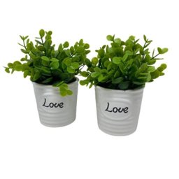 Conjunto decorativo vasos de cerâmica Love com planta - 1