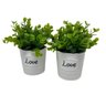 Conjunto decorativo vasos de cerâmica Love com planta - 1
