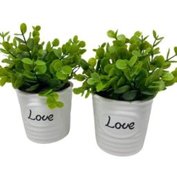 Conjunto decorativo vasos de cerâmica Love com planta - 4