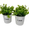 Conjunto decorativo vasos de cerâmica Love com planta - 4
