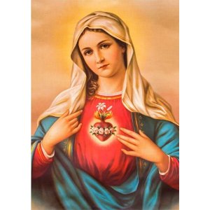 Adesivo Decorativo de Parede Religioso Sagrado Coração de Maria
