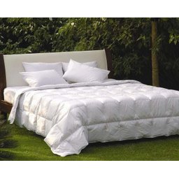 Edredom Daune 100% Plumas De Ganso Queen - 1