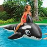 Bote Baleia Inflável Bóia Gigante Piscina Com Alça - 2
