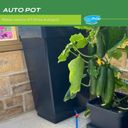 Ver imagem 3 de Reservatorio com Tampa e Capacidade de 47 Litros Autopot Ap219/t-l/black para Cultivo Autoirrigavel