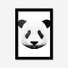 Quadro Decorativo Urso Panda Los Quadros - 1