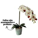 Ver imagem 5 de Kit 5 Flores Orquídeas Artificiais 110cm Silicone Branco para Ambientes Elegantes