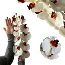 Ver imagem 7 de Kit 5 Flores Orquídeas Artificiais 110cm Silicone Branco para Ambientes Elegantes